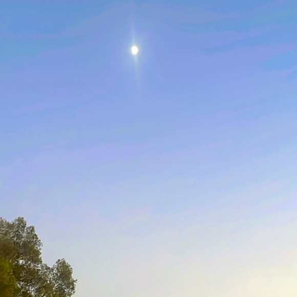 Meet your Posher, Jennifer - Picture 1 of 1